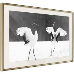 Arkiio Affisch Dancing Cranes [Poster] 90x60 Poster